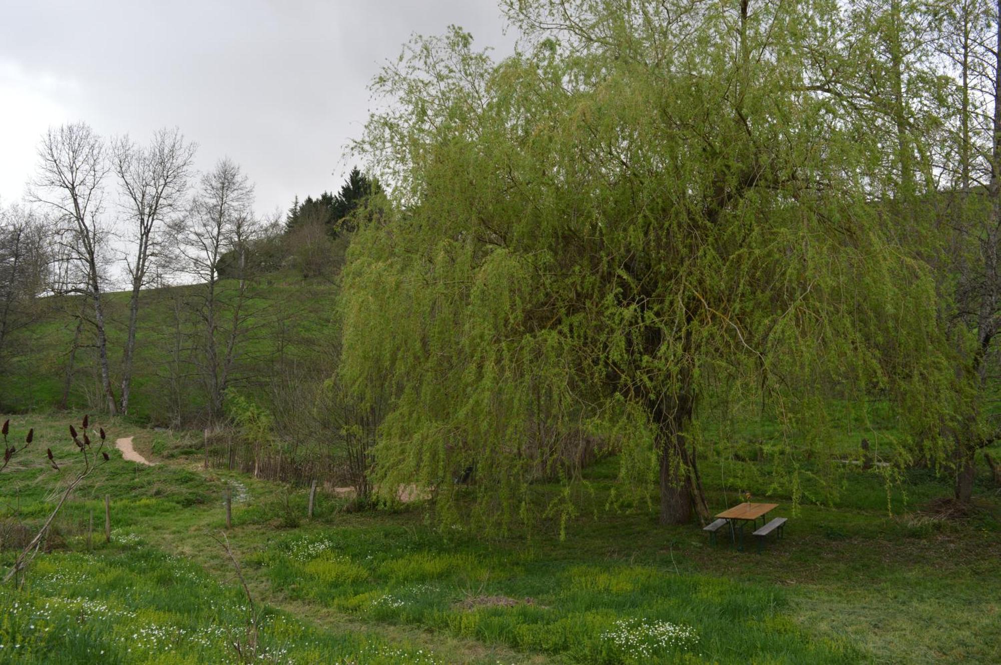 La Fabrique Du Roncon Villa Saint-Bonnet-le-Troncy Eksteriør bilde